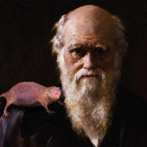 The Mole Rat Prophecies