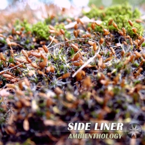 [preview] Side Liner - Ambienthology //  Out 14 Dec 2015