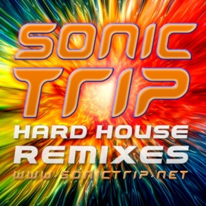 Sonic Trip - Go Get Busy (2001)