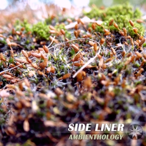 Side Liner-Highway Dreams (Ambient Edit)