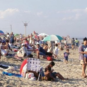 Ed Rizzotto: The Importance of Urban Parks