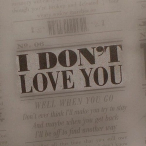 I Don't Love You