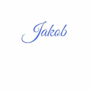 Jakob #2 (John McCain Visits Terrorists, 'Diet Pill Democracy', Bonapartism)