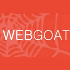 Less than 10 Minutes Series: WebGoat Project