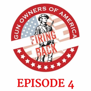 Firing Back - The Sound and the Fury