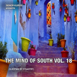The Mind Of South Volume 18 - GUESTMIX BY SYNASTRY MUSIC