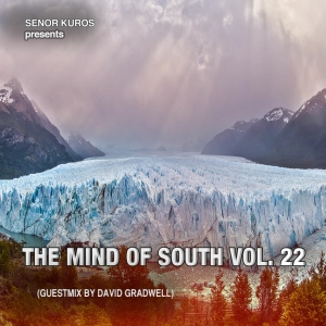 The Mind Of South Volume 22 - GUESTMIX BY DAVID GRADWELL