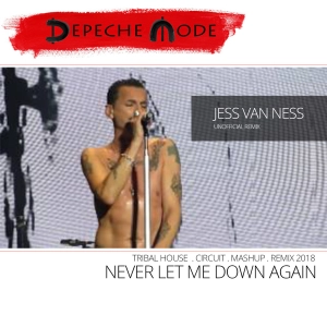 Depeche Mode - Never Let Me Down Again (Jess Van Ness - Tribal / Circuit Remix)