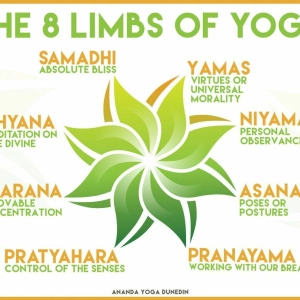 Eight Limbs of Yoga Explained (Ashtanga)