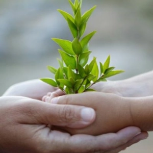 Conscious Parenting with Antony Sammeroff and Chris Stefanick