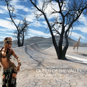 Queen of The Valley - Dec 2017 Promo Mix - Tribal, Progressive, Afro House, Circuit Set