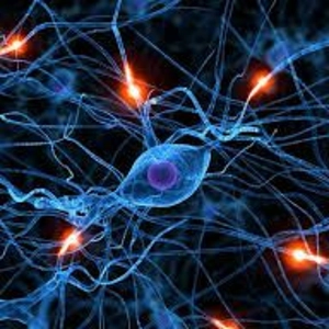 The Nerve Damage