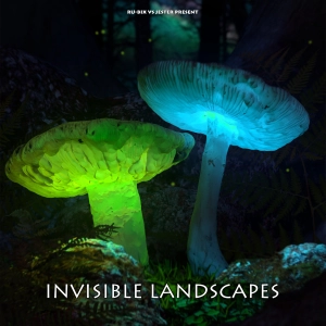Invisible Landscapes 041