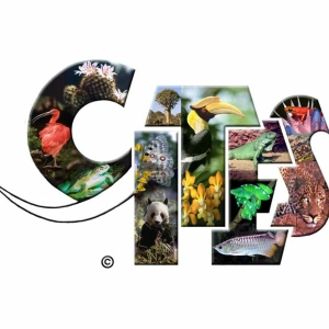 Episode 7: CITES