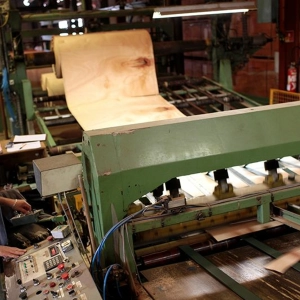 Episode 10: Plywood and TSCA Title VI