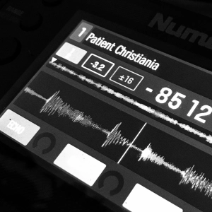 Patient Christiania (Ethno-Downtempo - Tracklist in Description)