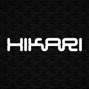 David Hikari's 1994 'Connected' Ambient Mix