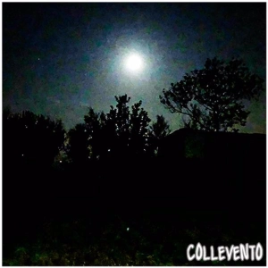 Cantos Da Floresta