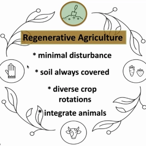Regenerative Agriculture with David Montgomery | R-Soil REWIND
