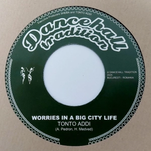 DT7007 A - Tonto Addi - Worries In A Big City Life