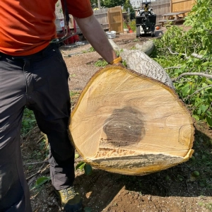 84 - Don't Be a Sap, Use that Sapwood