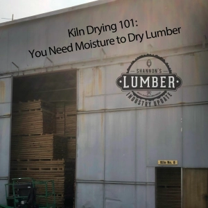 104 - Euro Beech and Kiln Drying 101