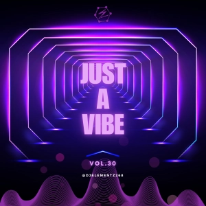 JUST A VIBE ( VOL.30 ) DJ ELEMENTZ | Hiphop mix 2024 | Dancehall mix 2024 | Remixes