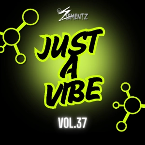 JUST A VIBE (VOL.37) DJ ELEMENTZ | DANCEHALL 2025 MIXTAPE | BASHMENT 2025 MIXTAPE