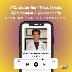 EP433 PT2; Epstein-Barr Virus, Chronic Inflammation & Autoimmunity with Dr Pamela Cipriano.