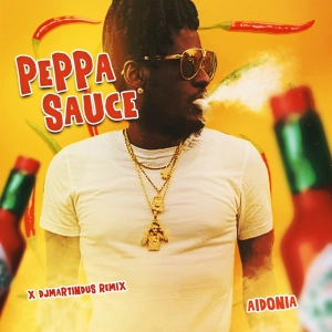 AIDONIA - PEPPER SAUCE ( DJ MARTIN DUS REMIX)