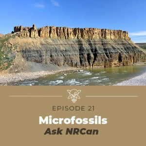 Discovering microfossils that are a BILLION years old (Ask NRCan)