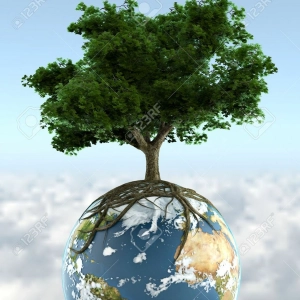 Rebirth.