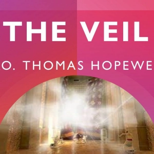 The Veil  03/31/2024