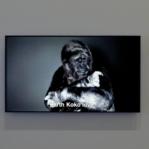 A Biography of Daphne Artist talks: Erik Bünger, Inge Meijer, and Katie West
