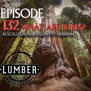 132 - What are Burls?
