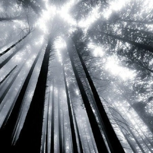 Thought Light