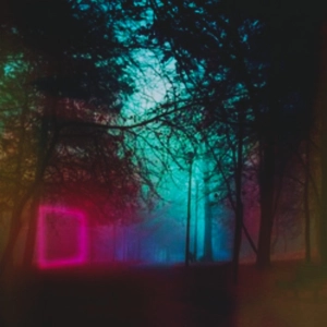 Mystic Forest - Deep Dark Organic & Progressive House