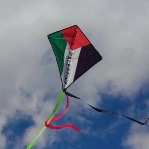 Flying kites for the children of Gaza in Durban - Saydoon Nisa Sayed