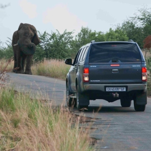 Episode 241 - Seeing Sounds