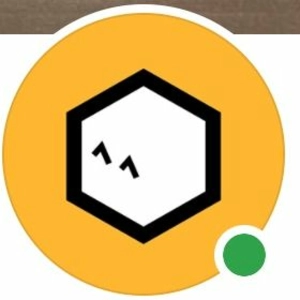 Interview with Petcube CEO Yaroslav Azhnyuk