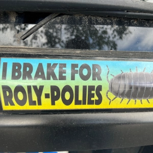 Episode 233 - Holy Moly Roly Poly!