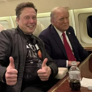 Elon Musk and Donald Trump. Who Serves Whom? A Technocratic Future.