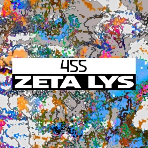 Dekmantel Podcast 455 - Zeta Lys