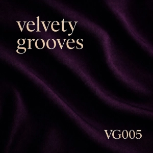 Deep Sexy Sultry House - Velvety Grooves VG005