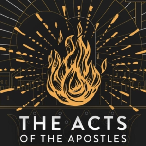 The Acts Of The Apostles: Acts 28 1-16