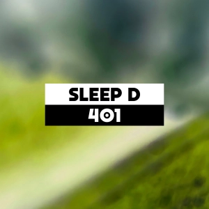 Dekmantel Podcast 401 - Sleep D