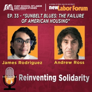 Episode 33 - "Sunbelt Blues: The Failure of American Housing"