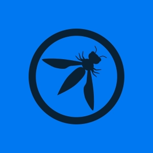 A New Vision for the Future of OWASP, with Executive Director, Andrew van der Stock