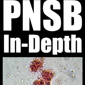 Ep. 214 - PNSB (Purple Non-Sulfur Bacteria) In-Depth with Ken Wingerter of Hydrospace