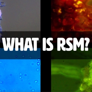 What Is Regenerative Soil Microscopy? with Matt Powers | A Sneak Peek